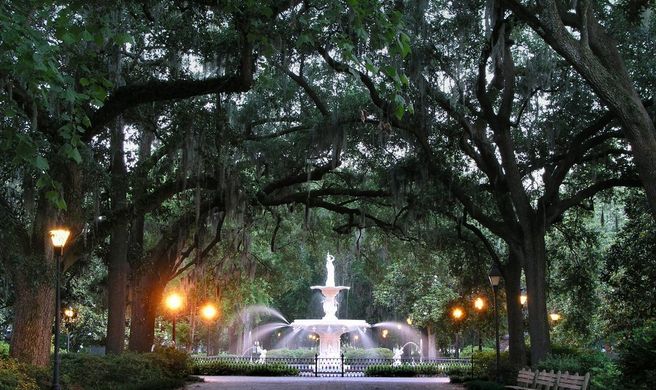 Savannah Scenery