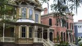Savannah Scenery