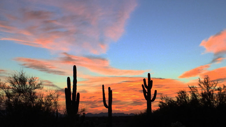 <b>Scottsdale Scenery</b>