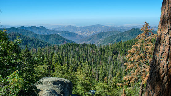 Sequoia National Park, California