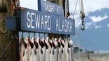 Seward Scenery