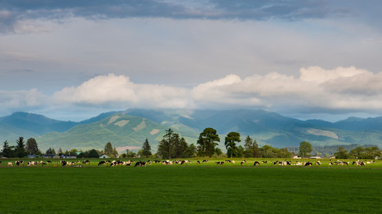 Tillamook, Oregon