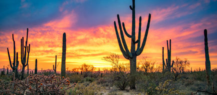 Tucson Scenery