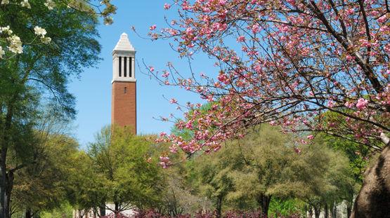 Tuscaloosa, Alabama
