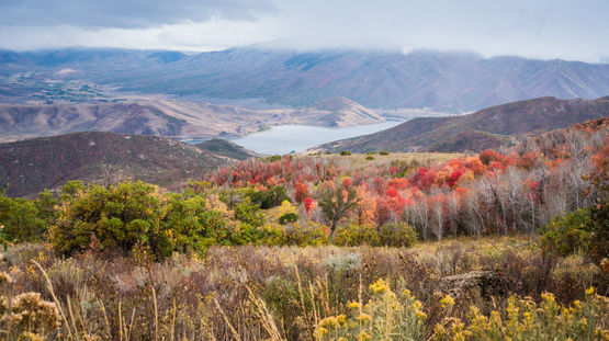 Wasatch Mtn State Park, Utah