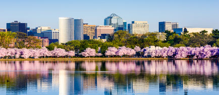 Washington, DC Scenery