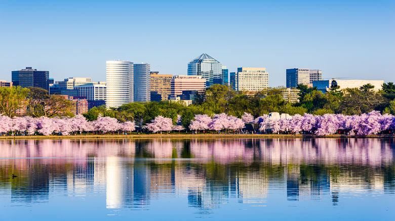 <b>Washington, DC Scenery</b>