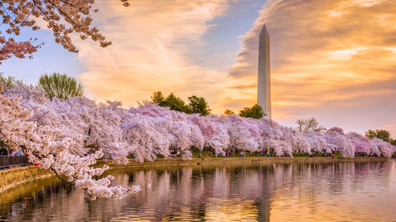 Washington, DC, District of Columbia