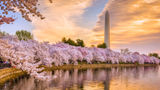 <b>Washington, DC Scenery</b>