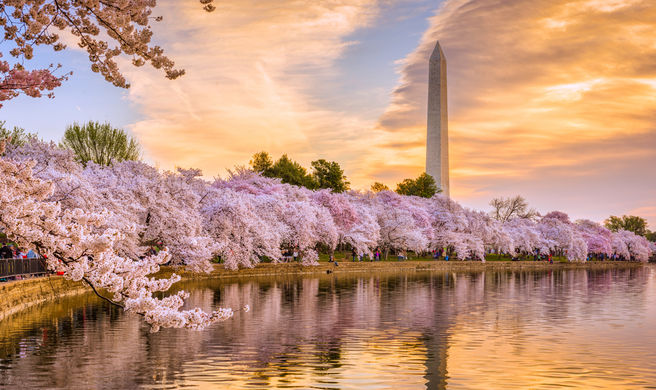Washington, DC Scenery