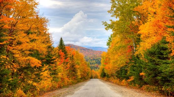White Mountain National Forest, Maine