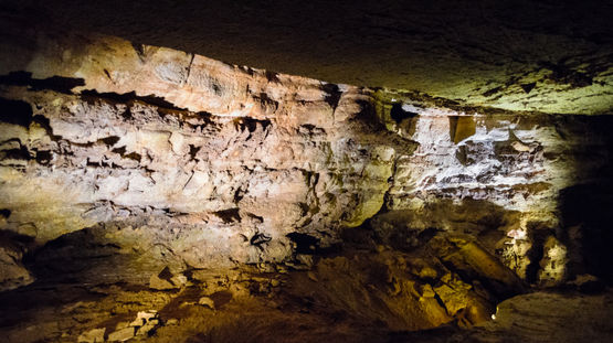 Wind Cave National Park, South Dakota