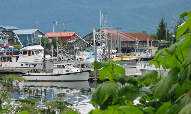 Wrangell Scenery