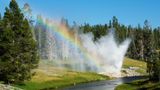 <b>Yellowstone Natl Park Scenery</b>