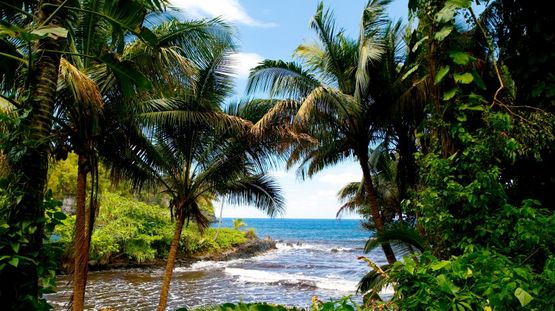 Hamakua Coast, Hawaii Island, Hawaii