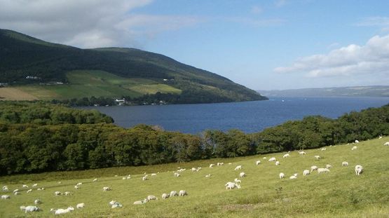 Isle of Mull, Hebrides Islands, Scotland