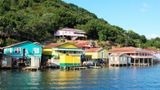 <b>Roatan Scenery</b>
