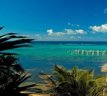 Roatan Scenery