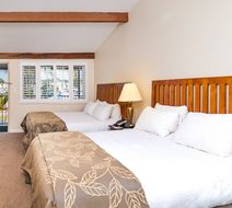 The Dana on Mission Bay Hotel Room