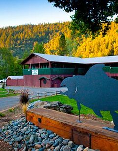 Indian Creek Lodge