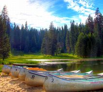Montecito Sequoia Lodge Recreation