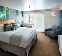 The Domain Hotel Room