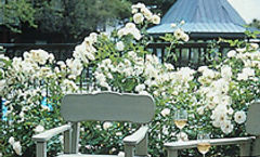 Corque Hotel Solvang