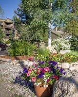 The Lodge at Steamboat