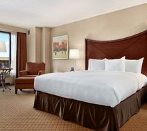 DoubleTree by Hilton Washington Dulles Room