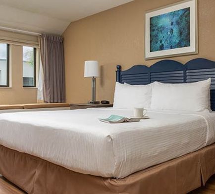 Orbit One Vacation Villas Room