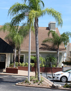 Chase Suite Hotel Tampa