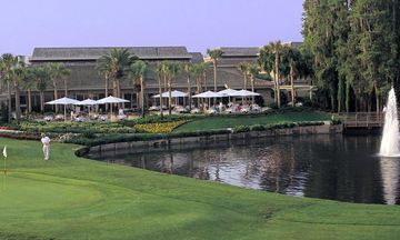 Saddlebrook Resort