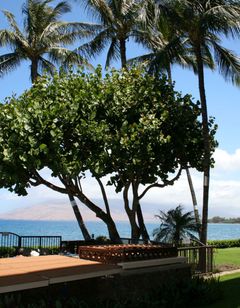 Royal Mauian Resort