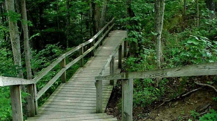 Turkey Run Inn Health