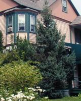 Apple Tree Inn