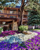 Tahoe Beach & Ski Club