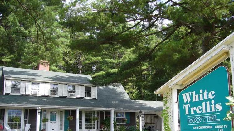 White Trellis Motel Exterior