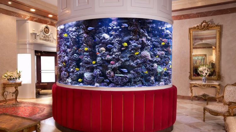 The Kimberly Hotel Lobby