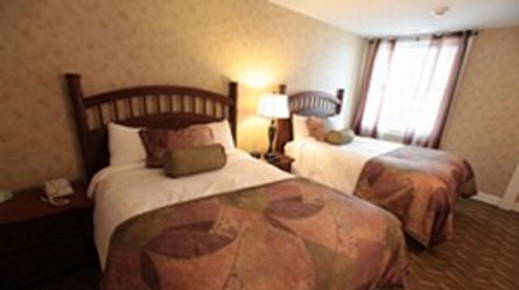 Island House Hotel Room
