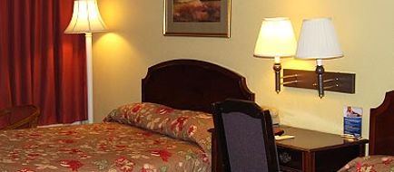 Motel 6 Florence Room