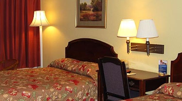 Motel 6 Florence Room