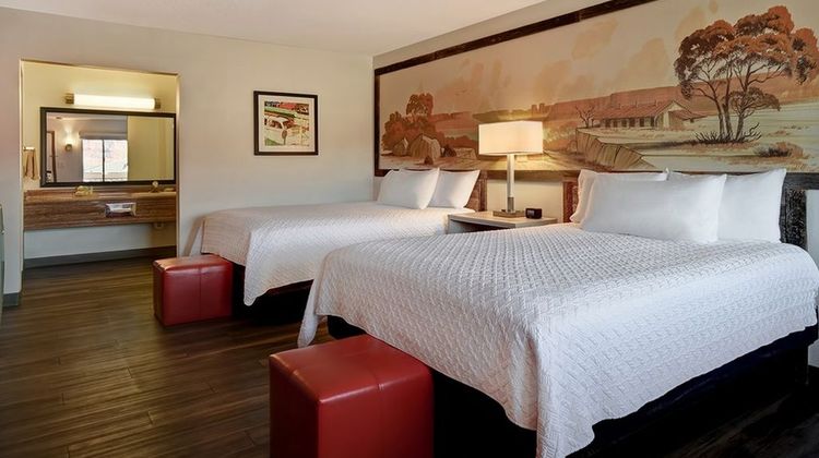 Expedition Lodge Room