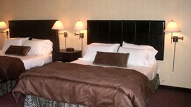 Driftwood Lodge Room