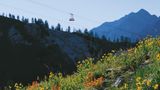 The Lodge at Snowbird Health