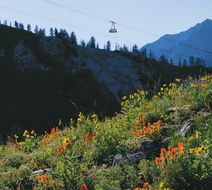 The Lodge at Snowbird Health
