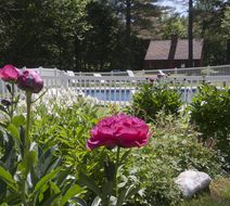 Tucker Hill Inn Pool