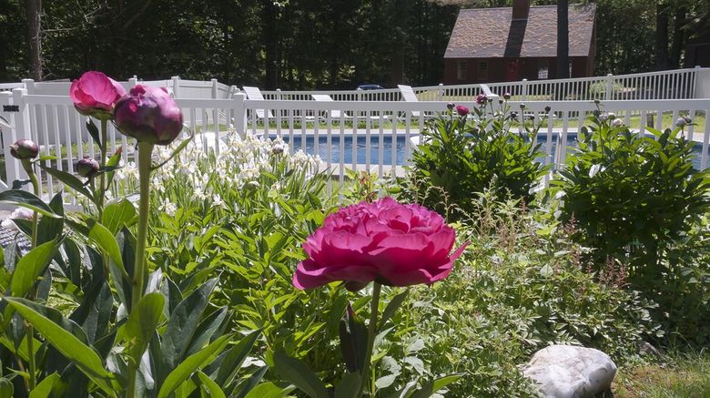 <b>Tucker Hill Inn Pool</b>