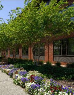 Williamsburg Woodlands Hotel & Suites