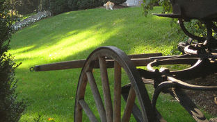 The General Lewis Inn