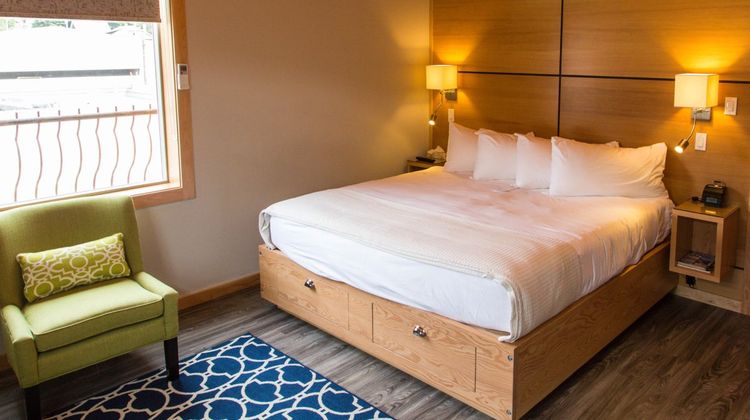 The Adventure Hotel Room